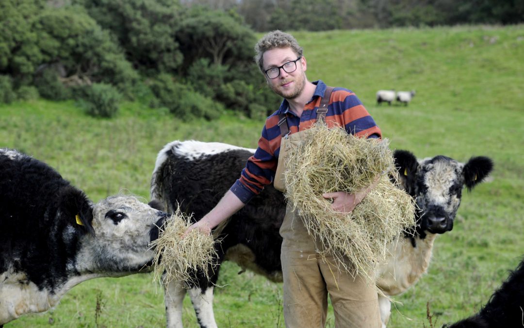 Festival Visitors Invited To Discover How Galloway Beef Cattle Help Protect Wildlife