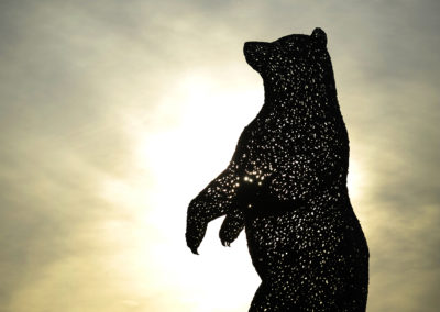 Andy Scott's Giant Bear Sculpture Opening, Dunbar