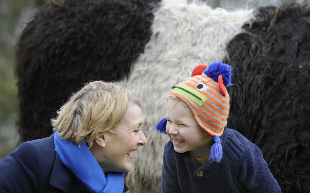 Belties Lead the Way as Dumfries & Galloway Looks Ahead to 2021 Royal Highland Show