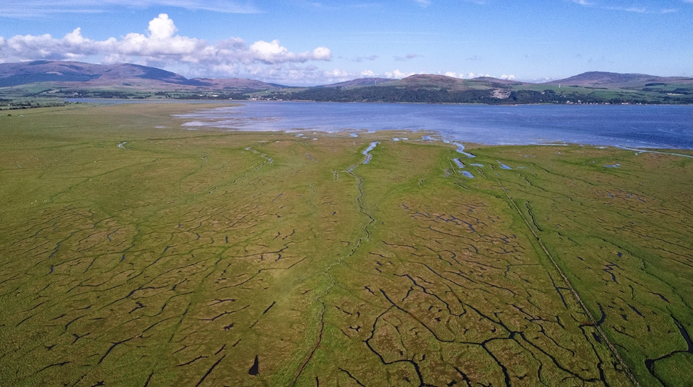 Secrets of the saltmarshes – festival dives into the wonders of Wigtown Bay