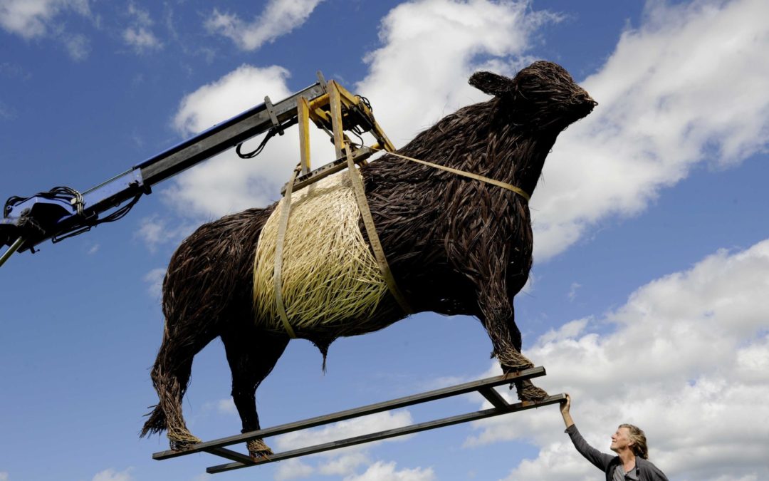 Royal Highland Showcase Celebrates Dumfries and Galloway with One-Tonne Willow Bull