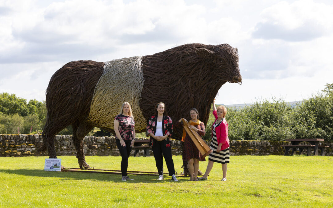 Kelton the One-Tonne Wicker Beltie Bull is Set to Star in Music at the Multiverse