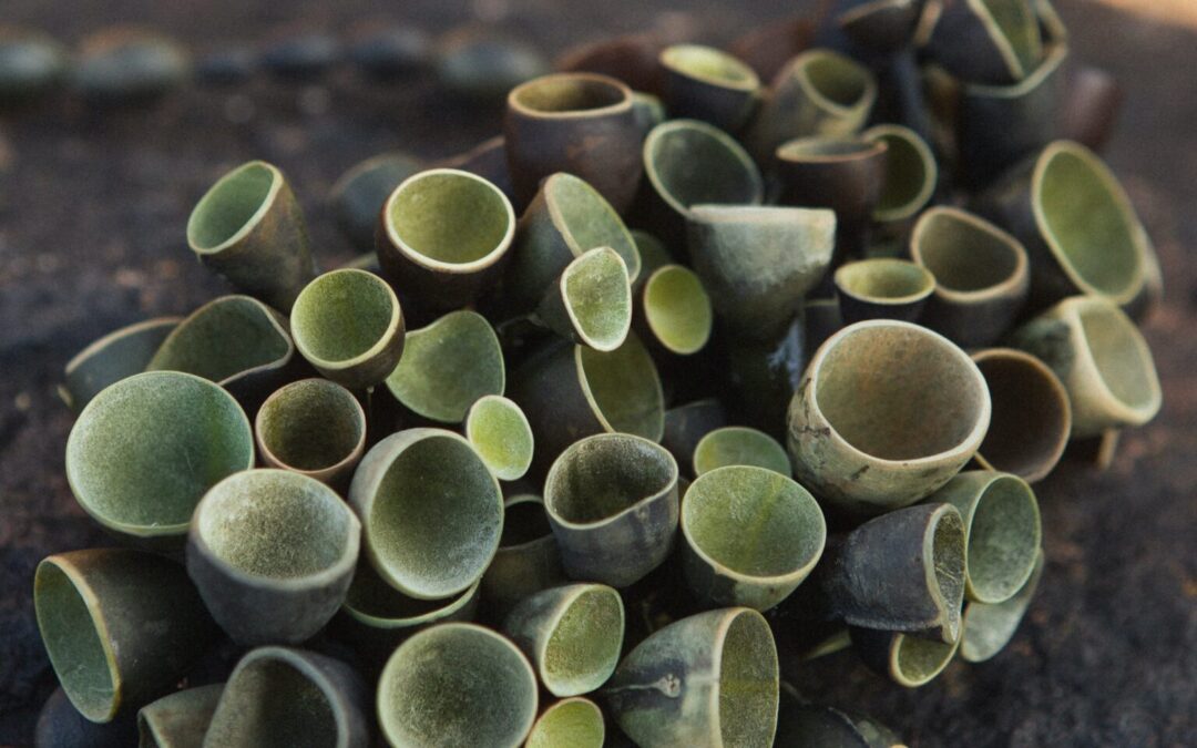 Young designer’s Scottish seaweed jewellery unites nature and beauty with sustainability