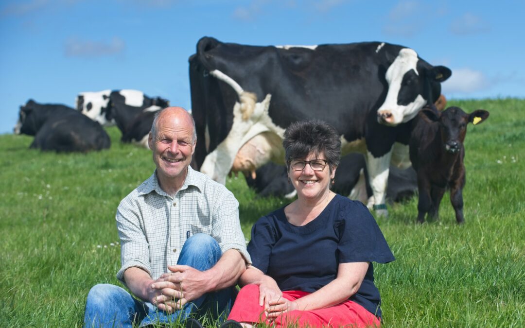 The Cream o’ Galloway – a Scottish couple’s campaign to bring kindness to dairy farming