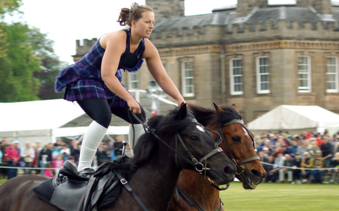 From dazzling horseback and motorbike stunt riders to gundogs and dancing sheep