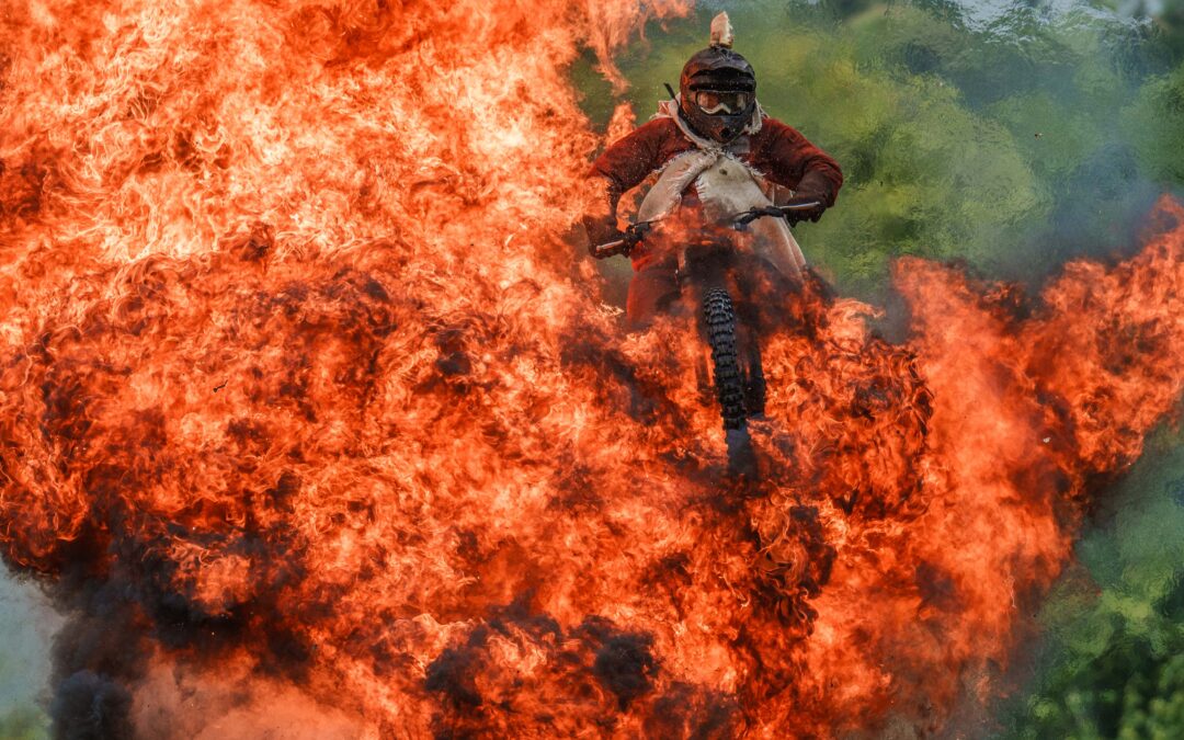 Epic stunts, animals galore, fab food and fun at Galloway Country Fair