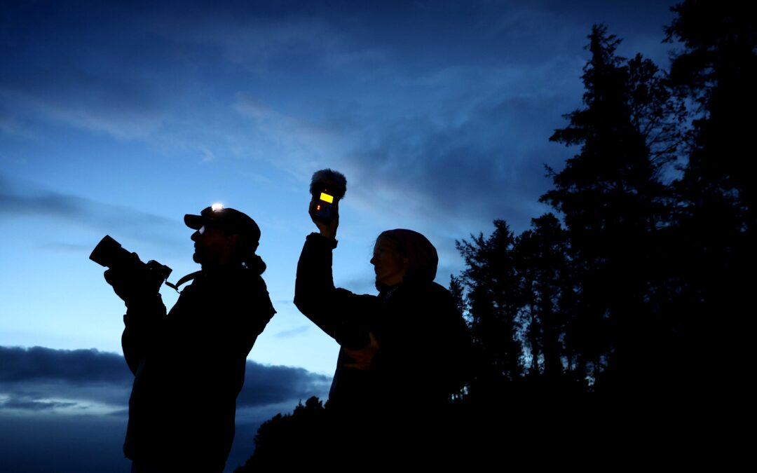 Artists and Scientists Work Together to Protect Scotland’s Migratory Birds