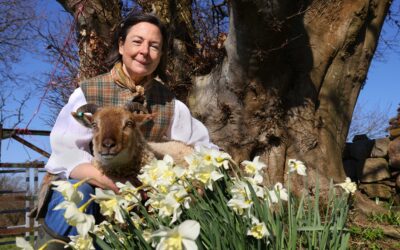 From Rare Sheep to Shaving Horses –Preserving Scottish Crafts and Traditions
